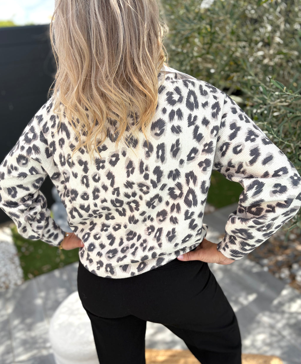 Pull Jasmina